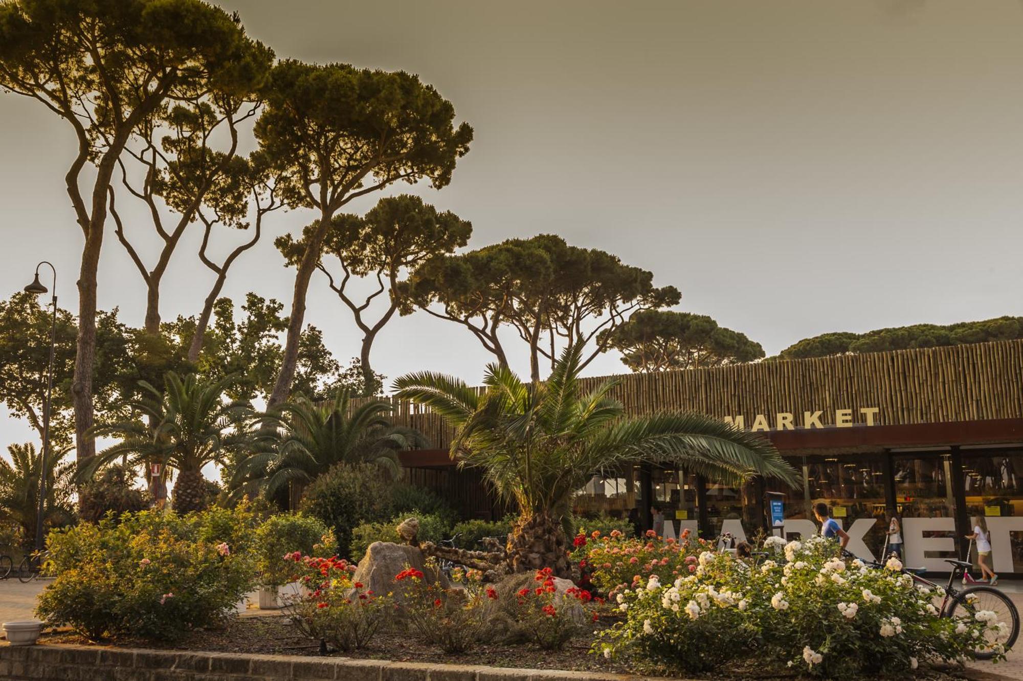 Hotel Il Mulinaccio San Vincenzo Ngoại thất bức ảnh